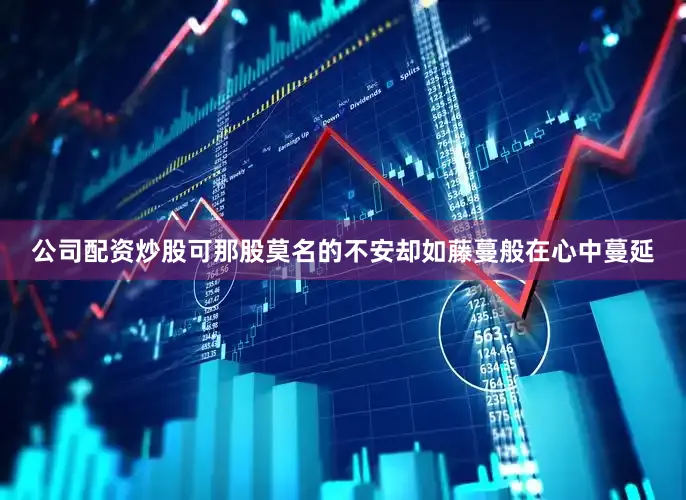 公司配资炒股可那股莫名的不安却如藤蔓般在心中蔓延